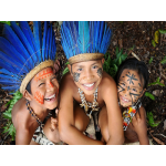 Амазония, Саванна и Пантанал 2022